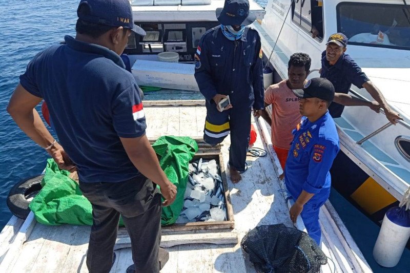 DKP NTT gelar operasi pengawasan perairan