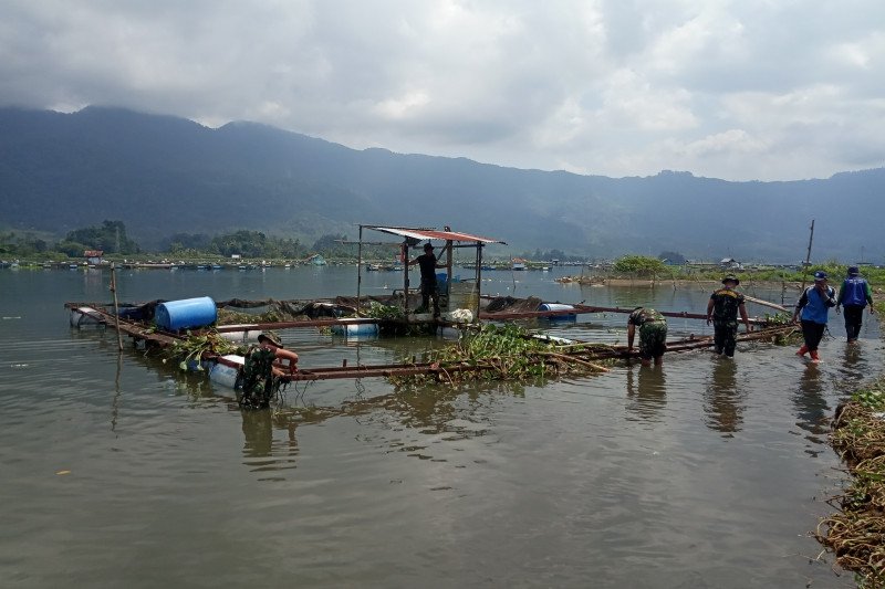Enceng Gondok dan Keramba Jaring Apung di Danau Maninjau dibersihkan tim gabungan