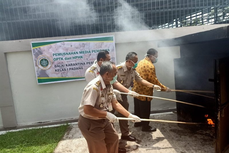 Karantina Pertanian Padang musnahkan ratusan kilo komoditas ilegal