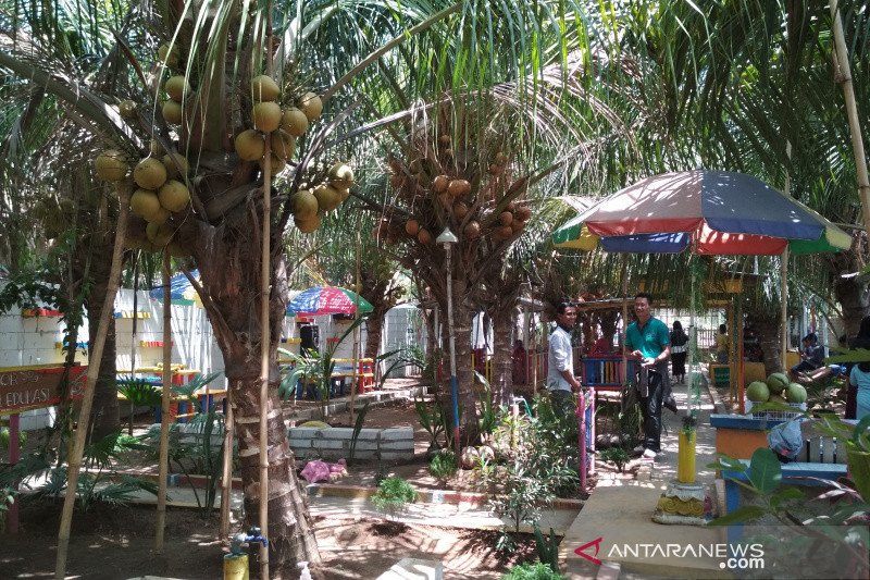 Wisatawan minati kampung kelapa kopyor di Pati