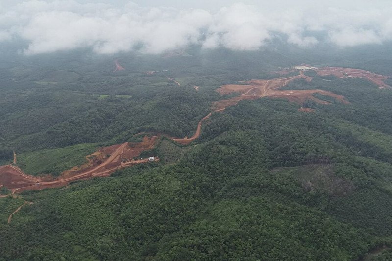 Walhi desak pemerintah tindak perusahaan lakukan pelanggaran