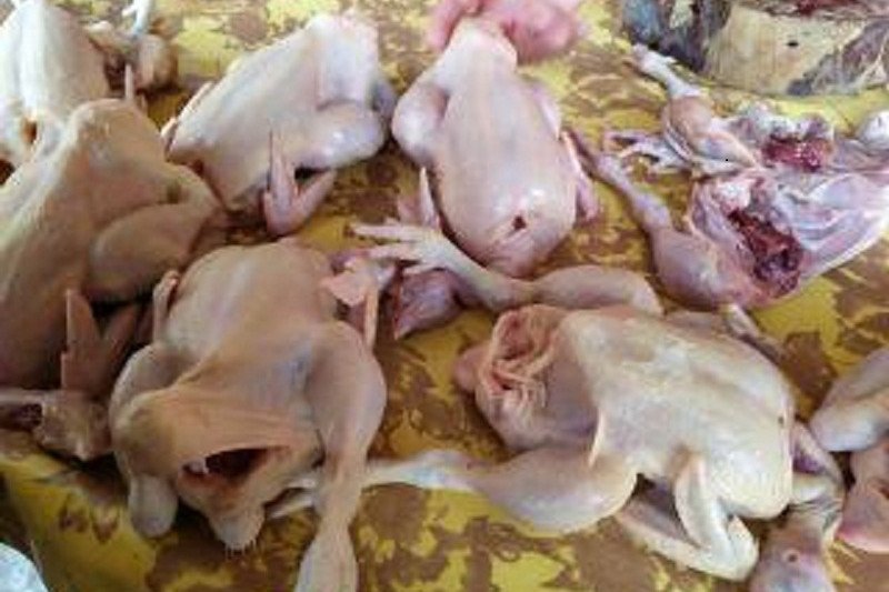 Harga ayam ras potong di Bandarlampung naik