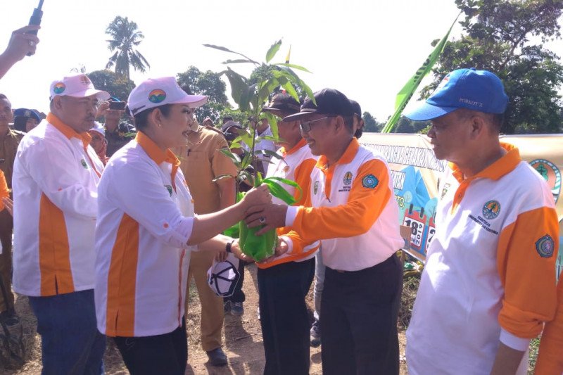 BPDAS dan Hutan Lindung Musi bagikan 5.000 bibit tanaman ke warga