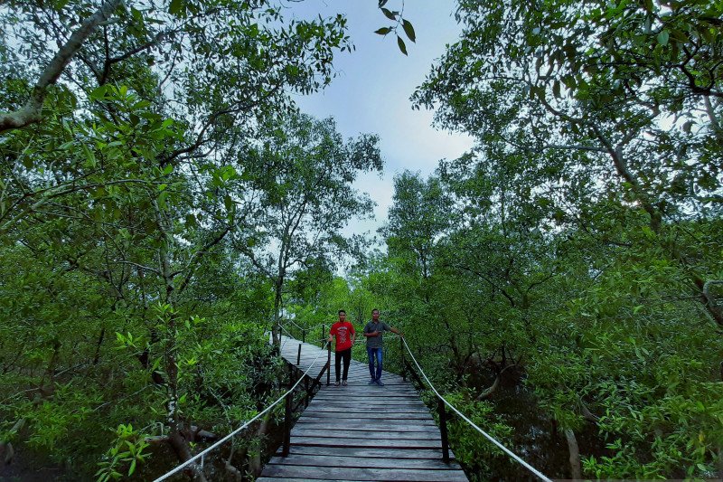 Dana desa Provinsi Kepri 2020 meningkat jadi Rp273 miliar