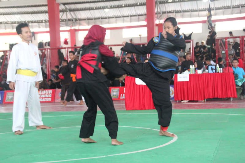 922 pesilat berlaga perebutkan Piala Wali Kota Semarang