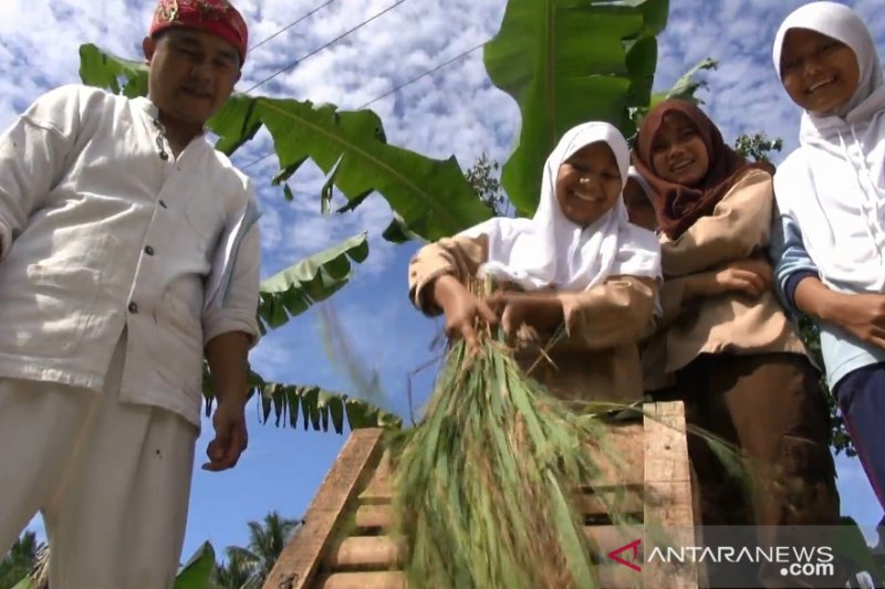 Kabupaten Sukabumi surplus beras 400 ribu ton