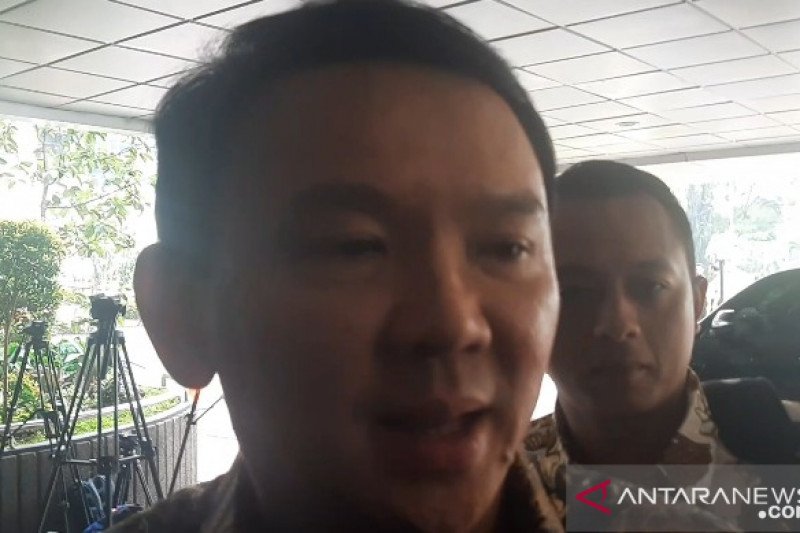 Ahok harus awasi investasi sektor hulu untuk tekan impor migas