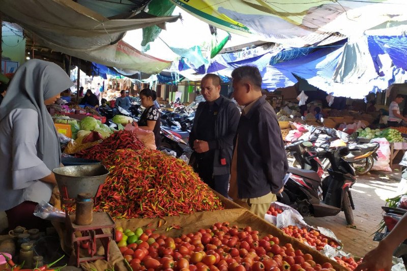 Distan: kenaikan harga tomat akibat pasokan kurang