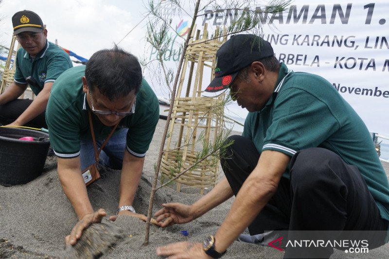 PLN UIW NTB menanam seribu pohon di Lombok