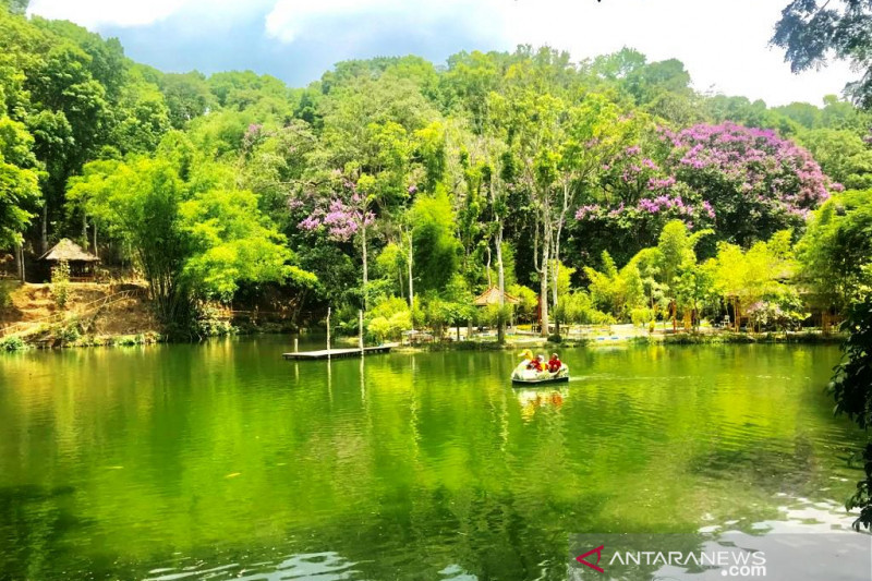 Ekowisata Boon Pring Malang bakal bangun museum bambu