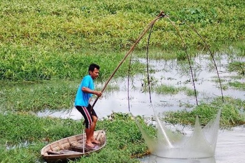 Lelang rawa lebak sumbang PAD OKI Rp6,8 miliar
