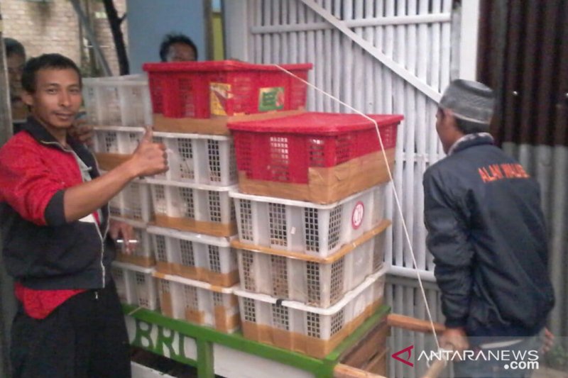 Peternak Kelinci Di Cianjur Kewalahan Penuhi Permintaan Antara