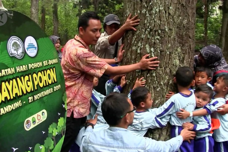 Aksi peluk pohon di Hari Pohon Sedunia