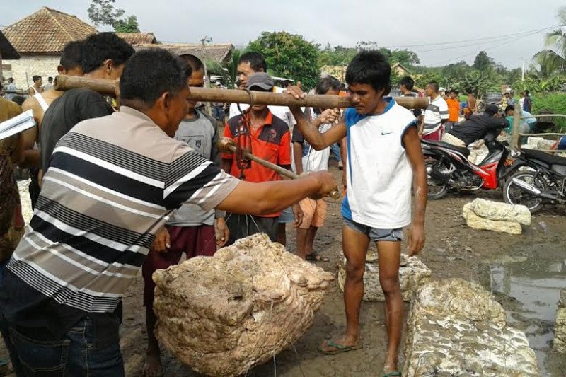 Harga getah karet di OKU turun jadi Rp6.700 per kg