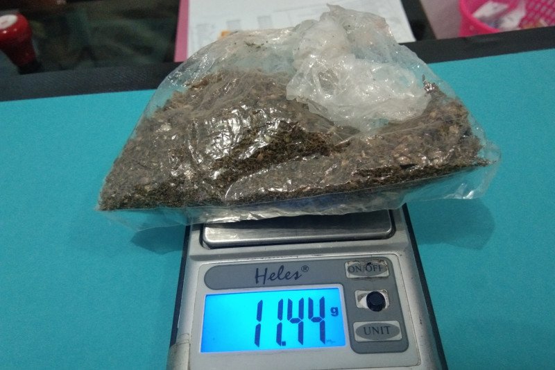 Seorang siswa di Kota Jayapura bawa ganja ke sekolah