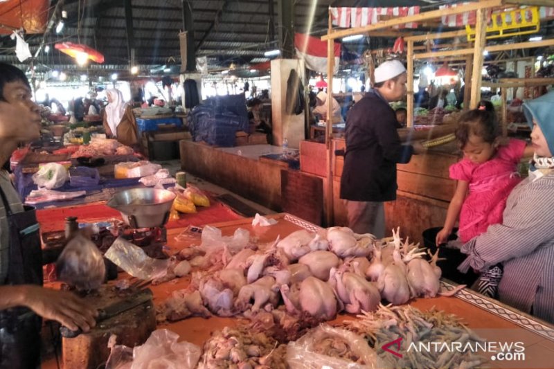 Harga Ayam Potong Di Pasar Cianjur Berangsur Normal Antara News