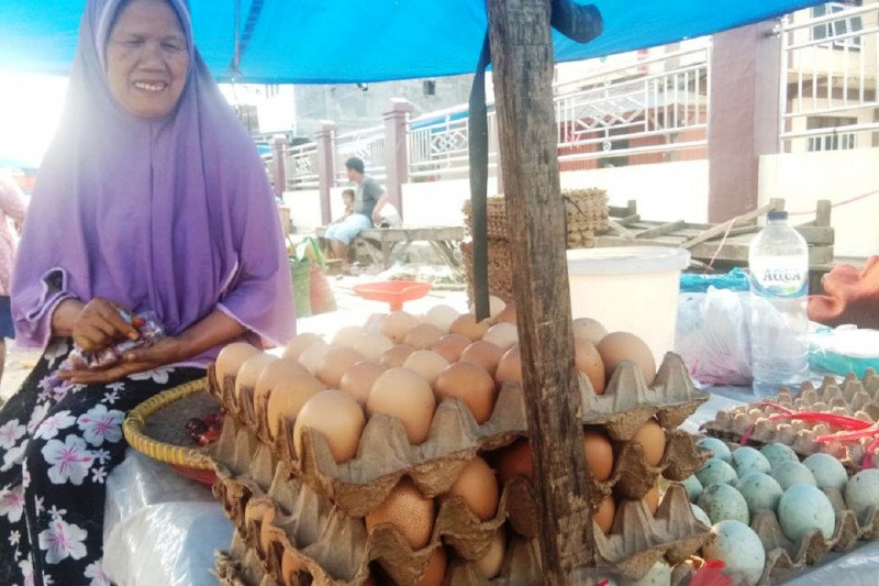 Harga telur ayam ras di Dharmasraya naik