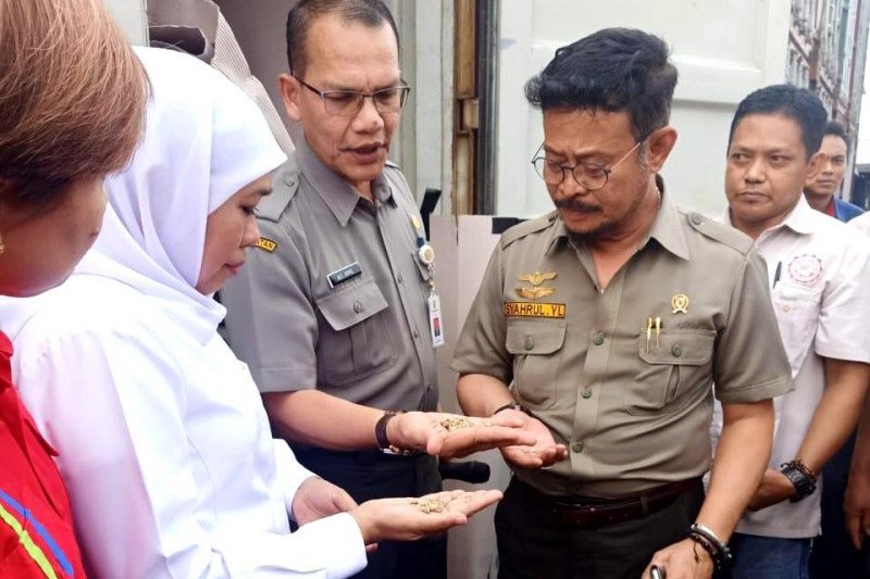 Ekspor produk pertanian lewat Karantina Pertanian Surabaya meningkat