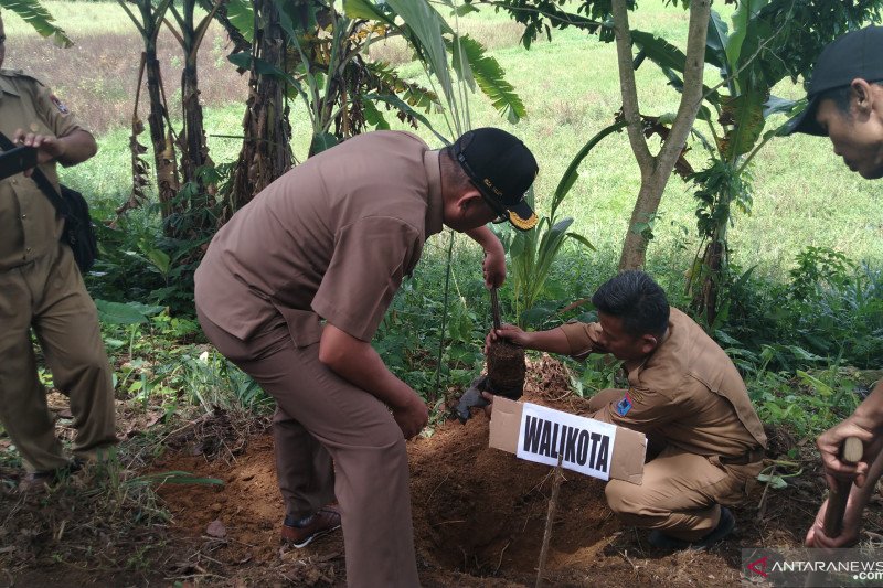 Payakumbuh fokus kembangkan tanaman hortikultura