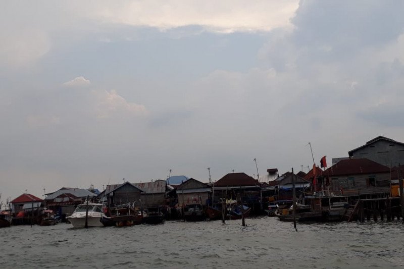 Genjot pendapatan, desa nelayan Sungsang kembangkan ekowisata