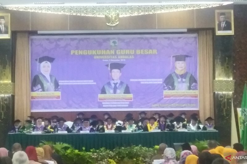 Limbah Nenas Dapat Jadi Bahan Pakan Alternatif Unggas Antara Sumbar