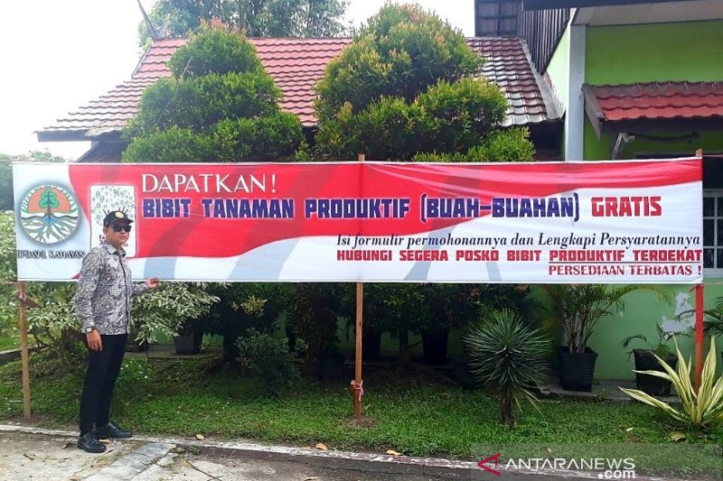 Pemkab Kobar bagikan 5 ribu bibit tanaman produktif kepada masyarakat