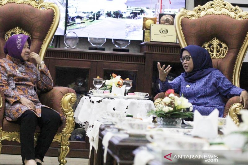 Ade Yasin sambangi Tri Risma belajar kelola taman kota