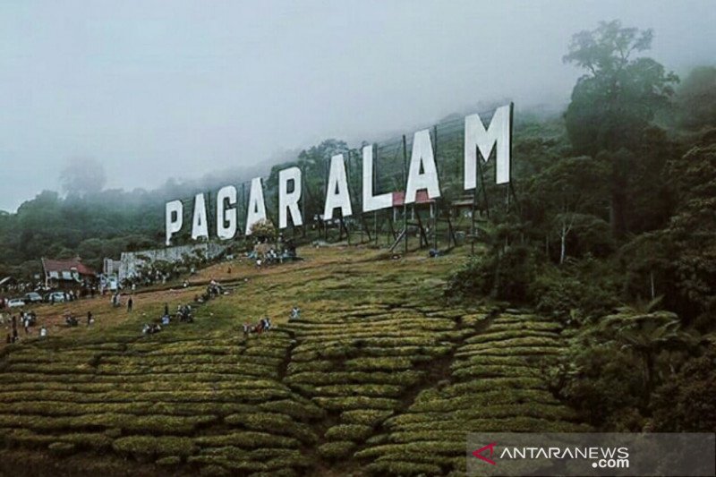 Wisata ikon nama "Pagaralam" masuk wilayah jelajah harimau