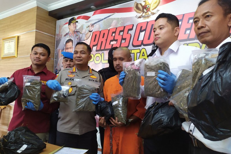 Polresta tangkap kurir ganja miliki 7,6 kilogram