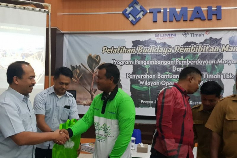 PT Timah latih pemuda Kundur budidaya pembibitan mangrove