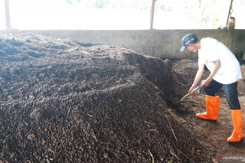 300 karung pupuk organik per hari diproduksi Lumbung Ternak ACT