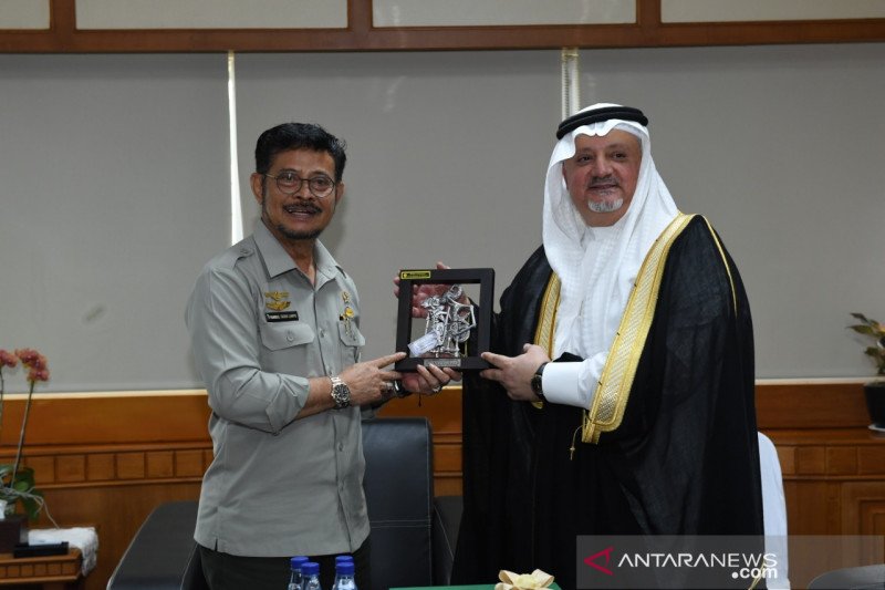 Kementan bekerja sama dengan Arab Saudi untuk ekspor beras
