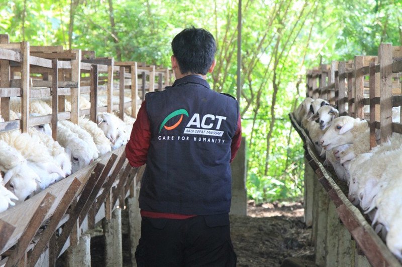 Lumbung Ternak Wakaf - ACT perkuat peran wakaf