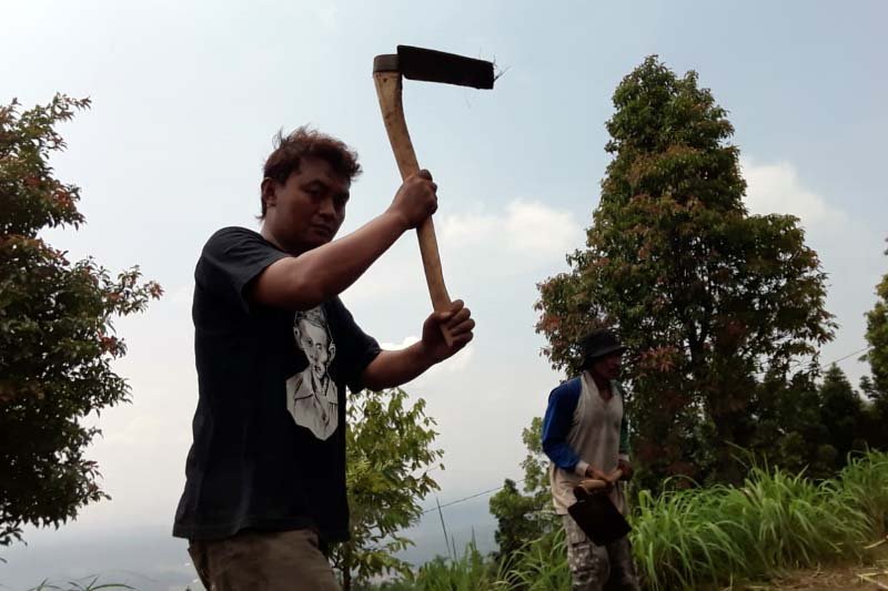Antisipasi deforestasi, masyarakat pinggiran hutan diminta jaga kelestarian hutan