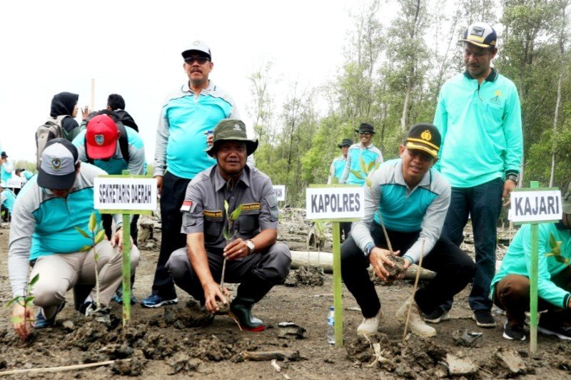 Penanaman mangrove penting dilakukan di kawasan pesisir Seruyan