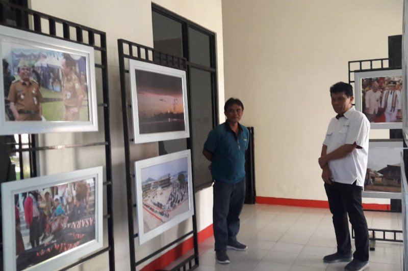 Great Giant Pineapple kunjungi pameran foto Antara