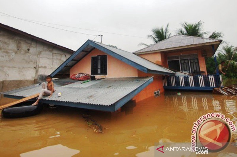 Kurangi kerugian, prediksi banjir lebih cermat di Riau, kata Walhi