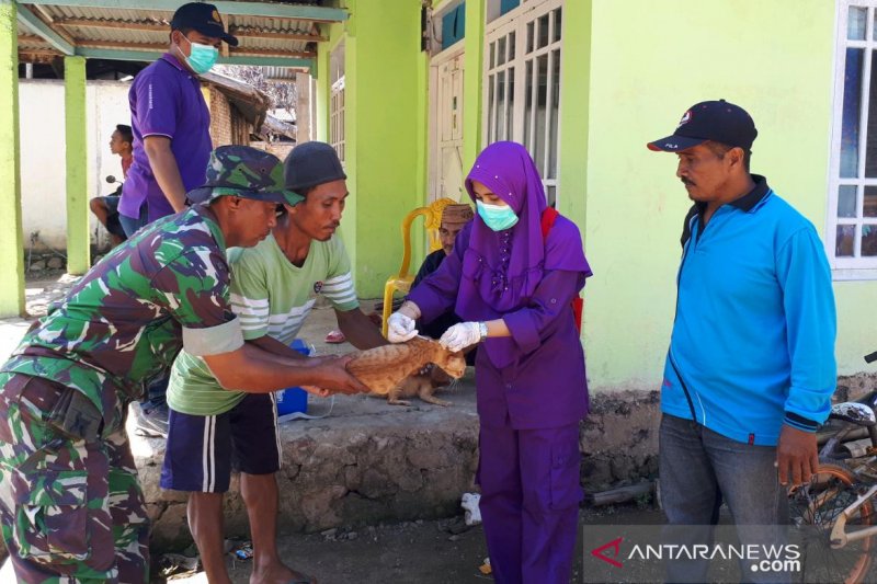 Sumber makanan habis salah satu pemicu rabies pada HPR