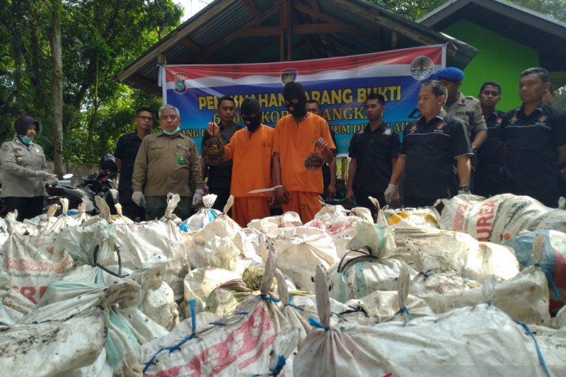 Polisi tetapkan dua tersangka penyelundupan belangkas ke Malaysia