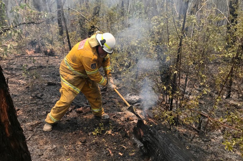 Kebakaran di Australia, ribuan penduduk dievakuasi dari kawasan wisata
