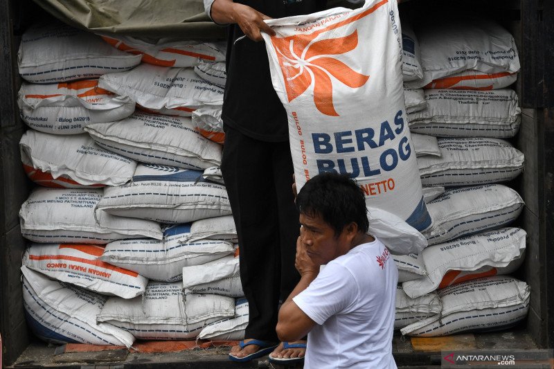 Bulog Sulteng hanya mampu serap 60 persen beras petani MP 2019