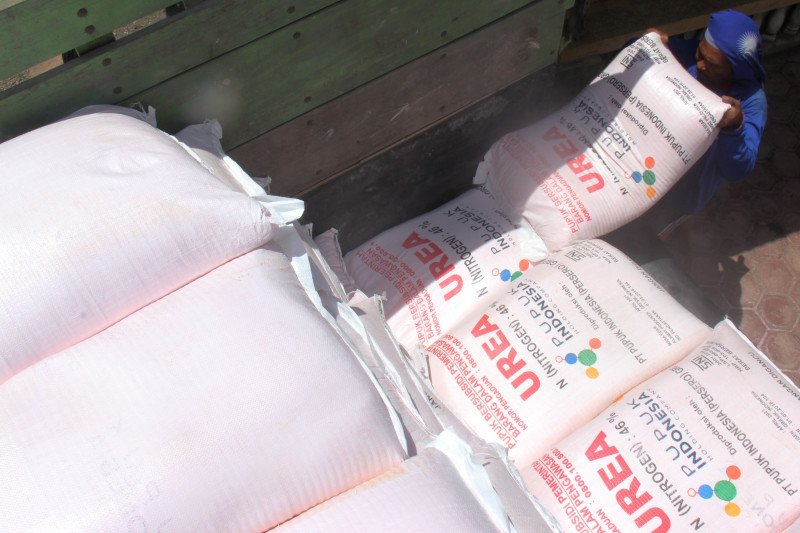 2020, kuota pupuk bersubsidi di Agam berkurang 1.562,27 ton