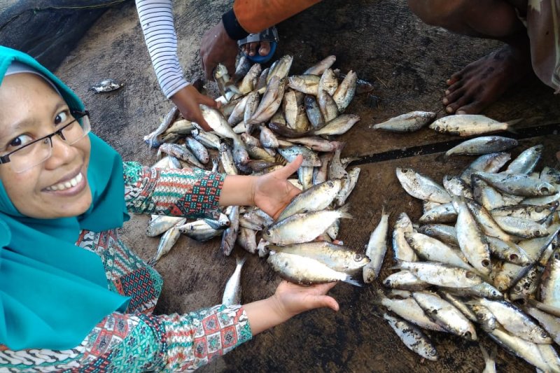 Pakar pangan Unej paparkan tips mencegah keracunan ikan tongkol