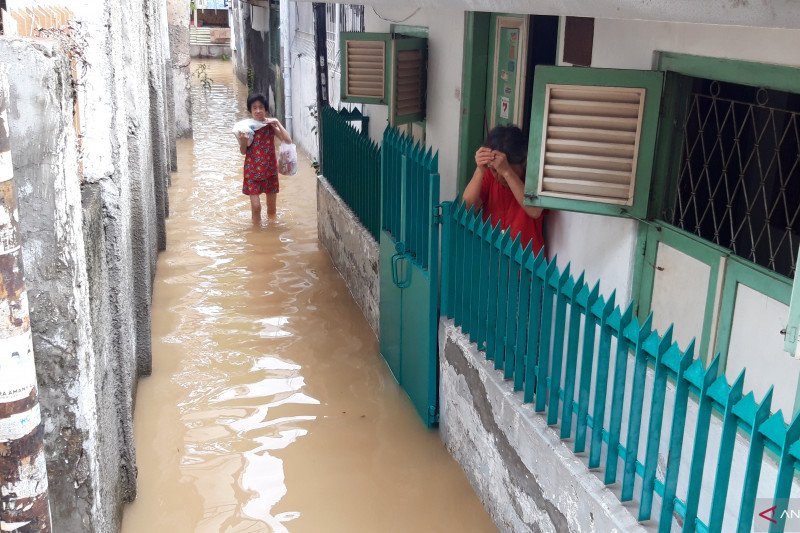 Pakar sarankan pemerintah perbanyak embung cegah banjir