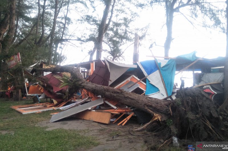 Sejumlah pohon di Pantai Pariaman tumbang dan menimpa gerobak pedagang (Video)