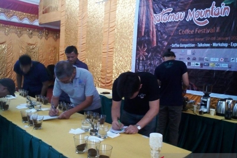 Cobain yuk! Kopi Minang Talu, Kopi Paling Enak Talamau Mountain Coffe Festival II