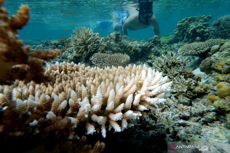 BI ingatkan sinergi memajukan pariwisata Gorontalo