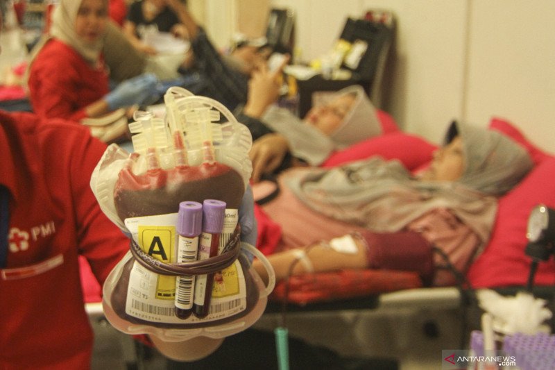 Kebutuhan darah di Palembang 5.000 kantong per bulan