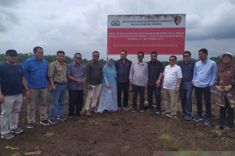 Video - Dinilai tak kooperatif, Proses hukum kasus karhutla PT Adei Plantation mandeg