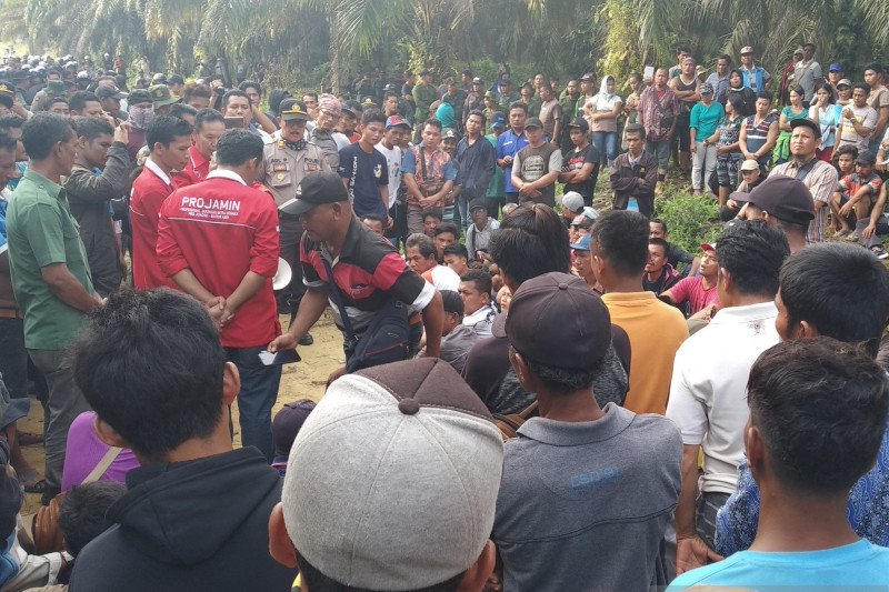 Konflik sumber daya alam di Riau naik 37 persen pada 2019